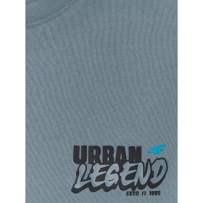 6. Boy's cotton T-shirt 4F 4FJRSS26TTSHM4175-46S