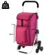 6. Shopping trolley Expert Premium 604353