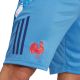 11. Adidas France Gym Men's Shorts Blue JC7182