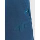 11. Men's quick-drying training pants 4F 4FRSS26TFTRM1411-30S