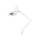 Rebel 5D 8W 6500K Workshop Lamp with Magnifying Glass
