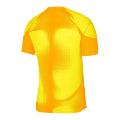 2. Nike Dri-FIT ADV Gardien 4 M Goalkeeper Jersey DH7760-719