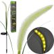 7. SOLAR GRASS LAMP 6 LED 75CM