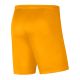 3. Shorts Nike Park III Knit Jr BV6865-739