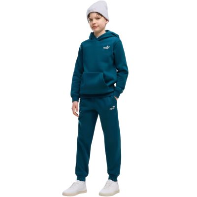 5. Puma ESS 2 Color No. 1 Logo Turquoise Kids' Pants 685824 36