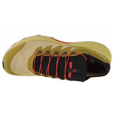 3. Salomon Pulsar Trail-Pro M 415936 shoes