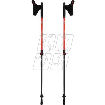 2. Alpinus Braunberg NX43601 Nordic walking poles