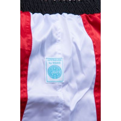 9. TOP TEN kick light shorts (WAKO APPROVED)
