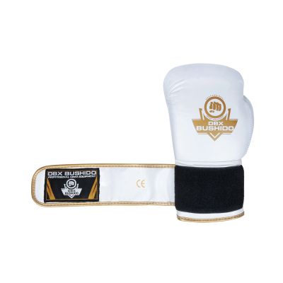 11. 10oz Boxing Gloves - Spirit - Valor Series