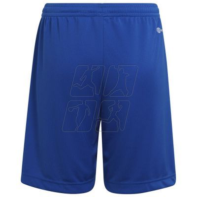 5. Adidas Entrada 22 Short Y Jr HG6291