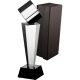 6. Glass trophy with case