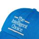 3. New Balance 6 Panel The Intelligent Choi Cap LAH43017BUL