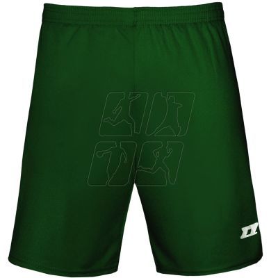 2. Zina Iluvio Senior match shorts M Z01929_20220201120132 GreenDark