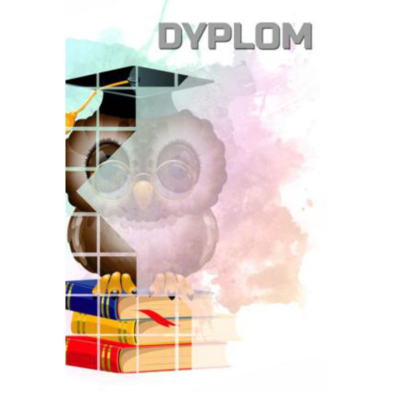 6. Paper diploma - owl (25 pcs.) DYP157