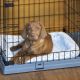 3. FERPLAST Superior 90 - dog cage - 92 x 58.5 x 62.5 cm