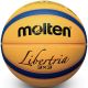 Molten B33T2000 outdoor 3x3 basketball