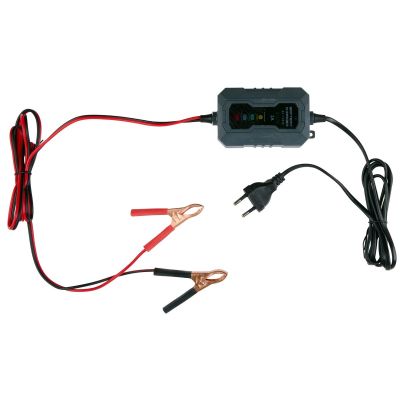 2. DUNLOP BATTERY CHARGER 6/12V