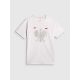 10. Men's fan t-shirt 4F 4FRSS26TTSHM4438-10S