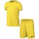 Nike DRY Park Kit Set for kids yellow CD2244 719