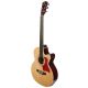 2. V-TONE EAG SET NT Electro-Acoustic Guitar + Amplifier