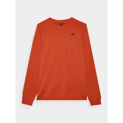 4. Men's sweatshirt without zipper and hood 4F 4FWMM00TSWSM1767-62S