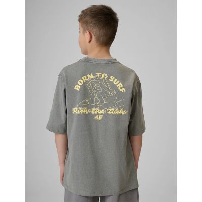 2. Boy's cotton T-shirt 4F 4F4FJRSS26TTSHM3906-25S
