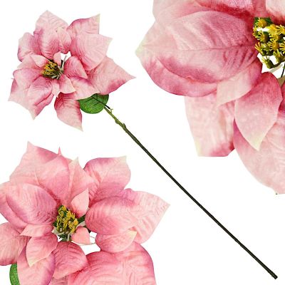 2. Poinsettia 30 cm, pink