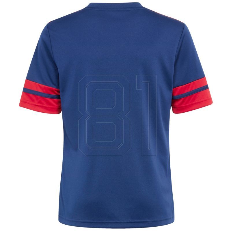 2. Adidas Squadra 25 Jr T-shirt JJ2415