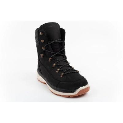 3. Lowa Renegade Evo Ice 2 GORE-TEX Men's High-Cut Trekking Boots