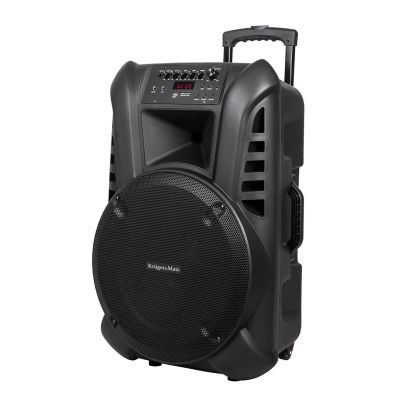 Active loudspeaker (with 2 wireless microphones UHF, SD, Bluetooth, FM, USB) 60 Watt