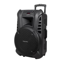Active loudspeaker (with 2 wireless microphones UHF, SD, Bluetooth, FM, USB) 60 Watt