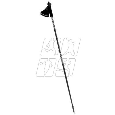 Nordic Walking Poles Viking Lite Pro 120 cm 650-21-4563-08-120