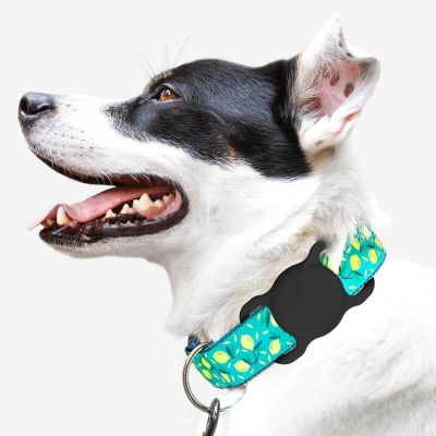 2. Apple AirTag Silicone Case for Dog or Cat Collar - Black