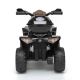 12. QUAD CAR WITH MICRON BATTERY PINK 1039114
