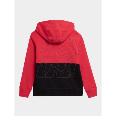 2. 4F Jr sweatshirt 4FJAW23TSWSM628-62S