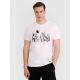 Men's regular t-shirt with volleyball print 4F 4FRAW25TTSHM3319-10S
