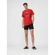 2. Men's boardshorts 4F 4FWSS26UBDSM254-20S