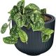 11. MILLY FLOWER POT DIAMETER 24 CM COPPER