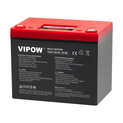 LiFePO4 60Ah battery with BMS