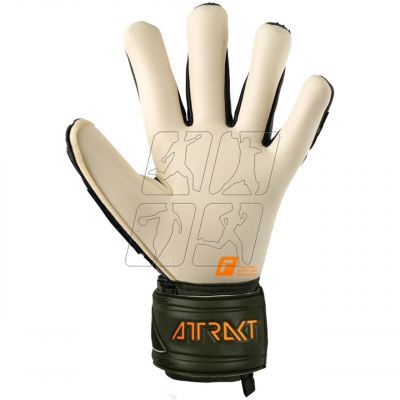 2. Goalkeeper gloves Reusch Attrakt Freegel Gold XM 5370935 5556