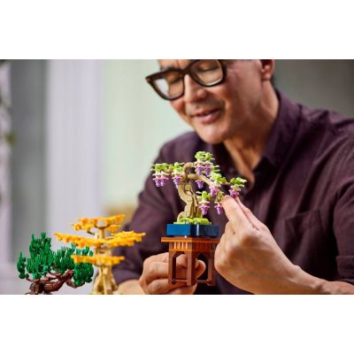 9. LEGO 10373 Botanical Collection - Small Bonsai Trees