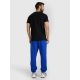 2. Men's sweatpants 4F 4FWAW25TTROM1272-36S