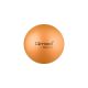 Rehabilitation ball with ABS system and pump 25cm