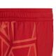 8. adidas Condivo 22 kids' goalkeeper shorts red H21243