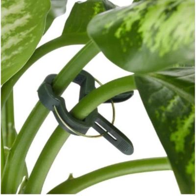 23. PLANT CLIPS 20 PCS KINZO