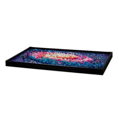 16. LEGO Art 31212 Milky Way