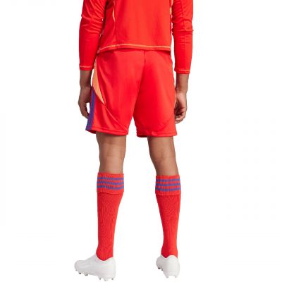 2. adidas Tiro 24 M IT2416 shorts