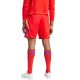 2. Adidas Tiro 24 M IT2416 shorts