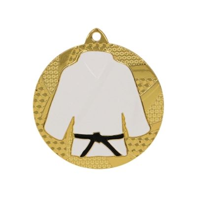 10. Gold medal judo/karate