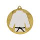 10. Gold medal judo/karate